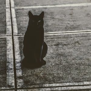 Meet your Posher, Brent